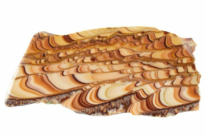 Polished Slab Of Rolling Hills Dolomite - Mexico #324421